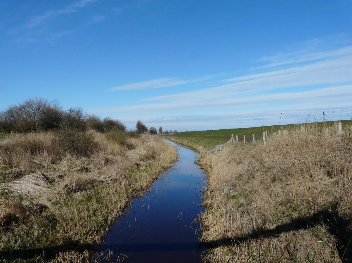 Haus Am Teich - Teichblick Apartment Fehmarn Bagian luar foto